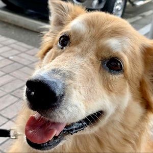 Meet your Posher, Sean